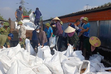 Chủ trang trại lặng người phát hiện gần 10.000 con gà chết la liệt