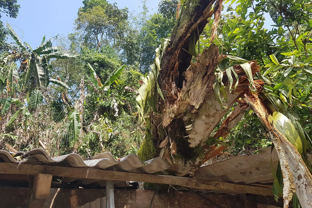Lốc xoáy quật gãy cột điện, tốc mái nhiều nhà dân và trường học ở Nghệ An - 3 Lốc xoáy quật gãy cột điện, tốc mái nhiều nhà dân và trường học ở Nghệ An - 3