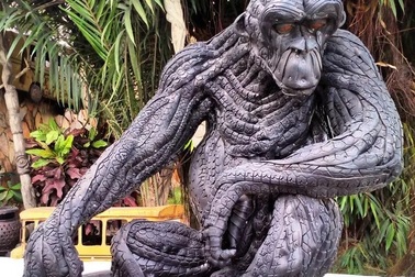 Nghệ thuật từ... những chiếc lốp xe