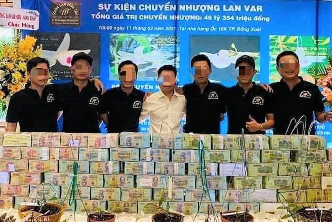 Lan đột biến hết thời tiền tỷ, tụt dốc rẻ hơn... rau muống - 3 Lan đột biến hết thời tiền tỷ, tụt dốc rẻ hơn... rau muống - 3