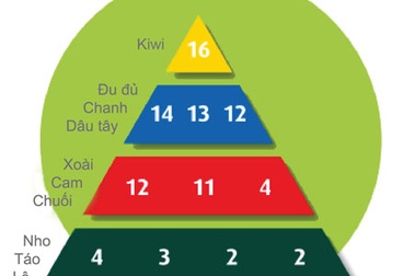 Trái cây nào giàu dinh dưỡng nhất?