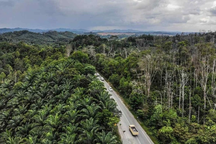 Indonesia chi thêm 1 tỷ USD đẩy nhanh kiến thiết thủ đô mới