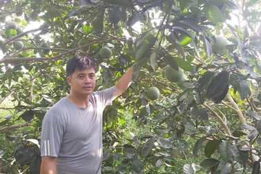 Thầy giáo làm trang trại thu 200 triệu đồng mỗi năm