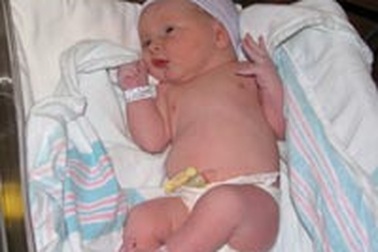 Mèo cứu sống bé sơ sinh