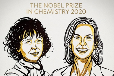 Nobel Hóa học vinh danh 2 nhà khoa học nữ với nghiên cứu về chỉnh sửa gen