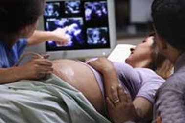 Độc tố, dinh dưỡng: Nguyên nhân chính gây dị dạng thai nhi