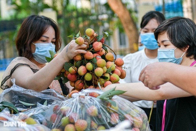 Luồng xanh cho nông sản và góc nhìn tiêu dùng ở thị trường 100 triệu dân - 3 Luồng xanh cho nông sản và góc nhìn tiêu dùng ở thị trường 100 triệu dân - 3