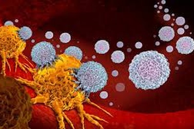 Bệnh ung thư có lây từ người này sang người khác không?