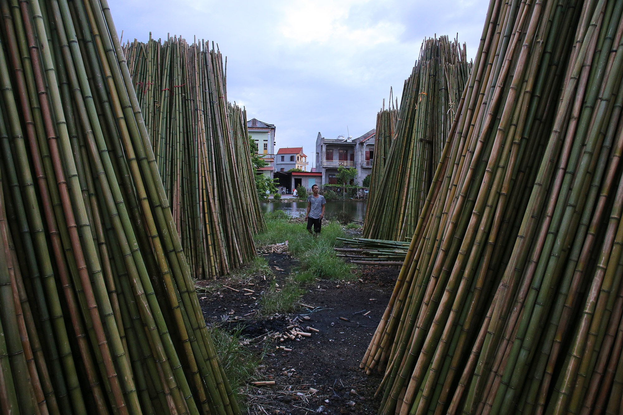 Những phụ nữ làm nghề quanh năm ngâm mình trong nước - 12
