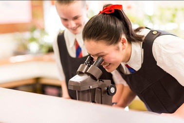 Triển lãm giáo dục chất lượng cao New Zealand