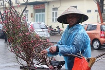 Mưu sinh trong mưa rét ngày giáp Tết