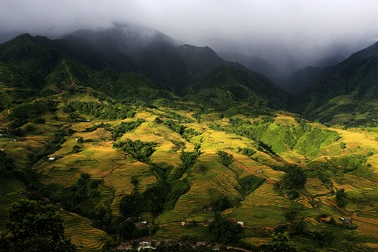Ngỡ ngàng Tả Van mùa lúa chín