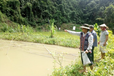 Hiệu quả tín dụng đối với hộ nghèo ở vùng biên Quảng Nam