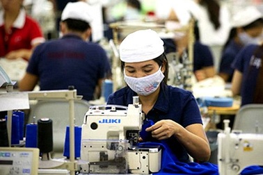 Quảng Ninh: Đề nghị điều tra, truy tố 7 doanh nghiệp nợ đọng BHXH