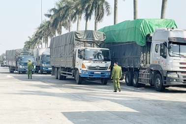 Bắt giữ 14 xe tải chở 300 tấn hàng không có hóa đơn, chứng từ