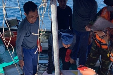 Đẩy đuổi tàu cá Trung Quốc hoạt động trên vùng biển Việt Nam