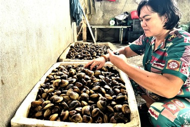 Con đặc sản nằm ở đáy sông Hương khiến cả nông dân và nhà khoa học đều lo một dự báo xấu