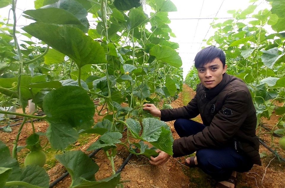 Nam thanh niên người Thái làm giàu từ đất, thu gần nửa tỷ đồng mỗi năm - 1 Nam thanh niên người Thái làm giàu từ đất, thu gần nửa tỷ đồng mỗi năm - 1