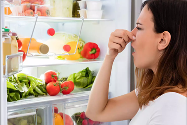 Tủ lạnh bốc mùi khó chịu, dân mạng thi nhau hiến "trăm phương ngàn kế"