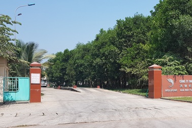 Nhà máy chế biến bột cá gây ô nhiễm khí thải bị yêu cầu dừng sản xuất