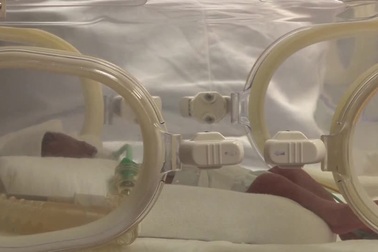 9 đứa trẻ sinh 9 được chăm sóc đặc biệt sau khi chào đời