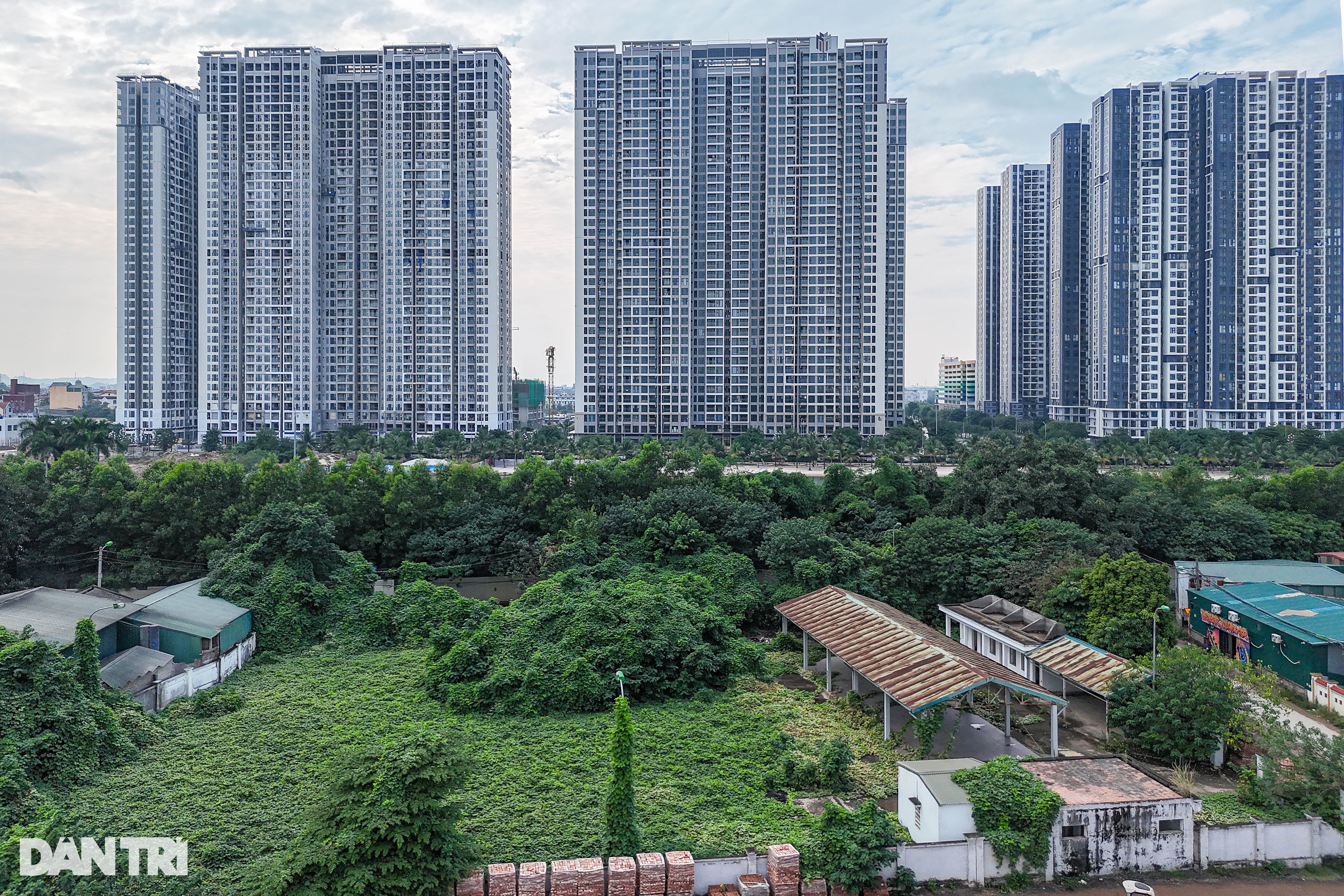 Cỏ mọc um tùm, rác chất đống ở hàng loạt chợ tiền tỷ bị bỏ hoang tại Hà Nội - 1