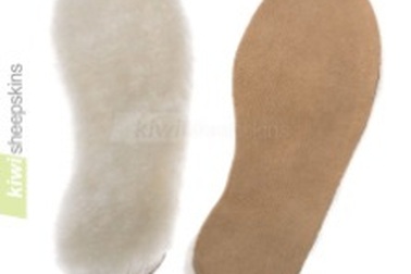 Nghiên cứu ứng dụng nano bạc cho ngành da giầy