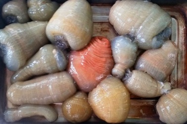 Đổ xô đi săn “thần dược” tăng lực