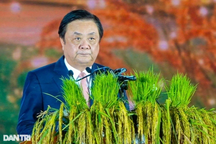 "Hạt gạo Việt Nam - Hạt gạo tình thân"