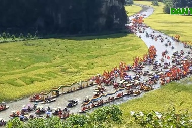 Sắc vàng Tam Cốc - Tràng An khiến du khách mê say đắm