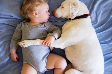 Dễ thương chùm ảnh bé cùng người bạn thân thiết bốn chân