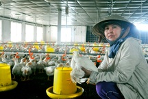 Người phụ nữ "5 trong 1" hết lòng vì công tác thiện nguyện