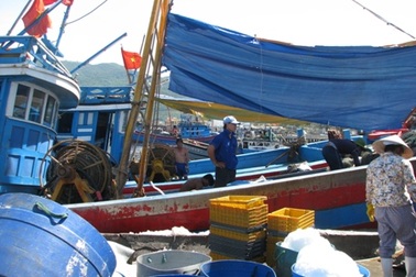 Một ngư dân rơi xuống biển mất tích 