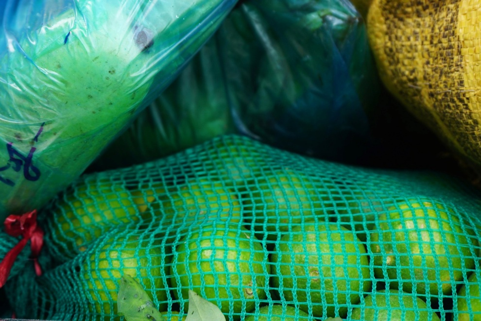 Người Quảng Nam hái rau, góp gạo tiếp sức Đà Nẵng chống dịch - 4