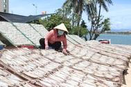 Làm giàu từ hải sản khô, người phụ nữ làng biển thu 2 tỷ đồng mỗi năm