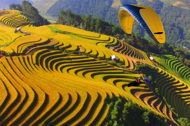 Bay dù lượn ngắm lúa chín Mù Cang Chải Yên Bái