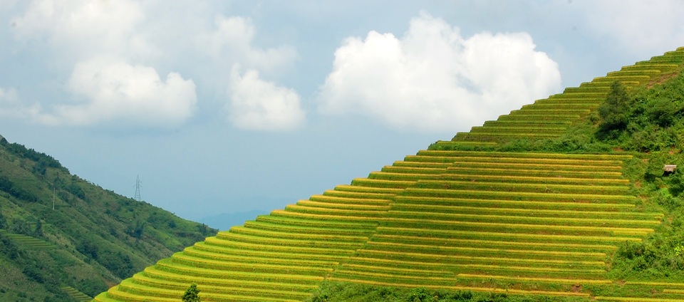 Sắc thu vàng quyến rũ trên vùng cao Tây Bắc - 1 Sắc thu vàng quyến rũ trên vùng cao Tây Bắc - 1