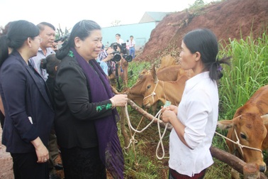 Phó Chủ tịch Quốc hội thăm người dân vùng biên giới Quảng Trị