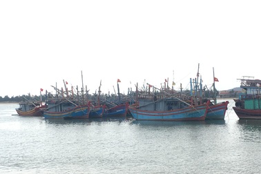 1 người tử vong, 7 người nhập viện cấp cứu sau khi ăn ốc biển