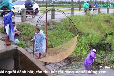 Dù trời mưa gió, người dân vẫn đổ xô săn “lộc trời”