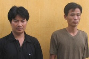 Khởi tố 4 bị can chặt cây sưa tại gò Đống Đa