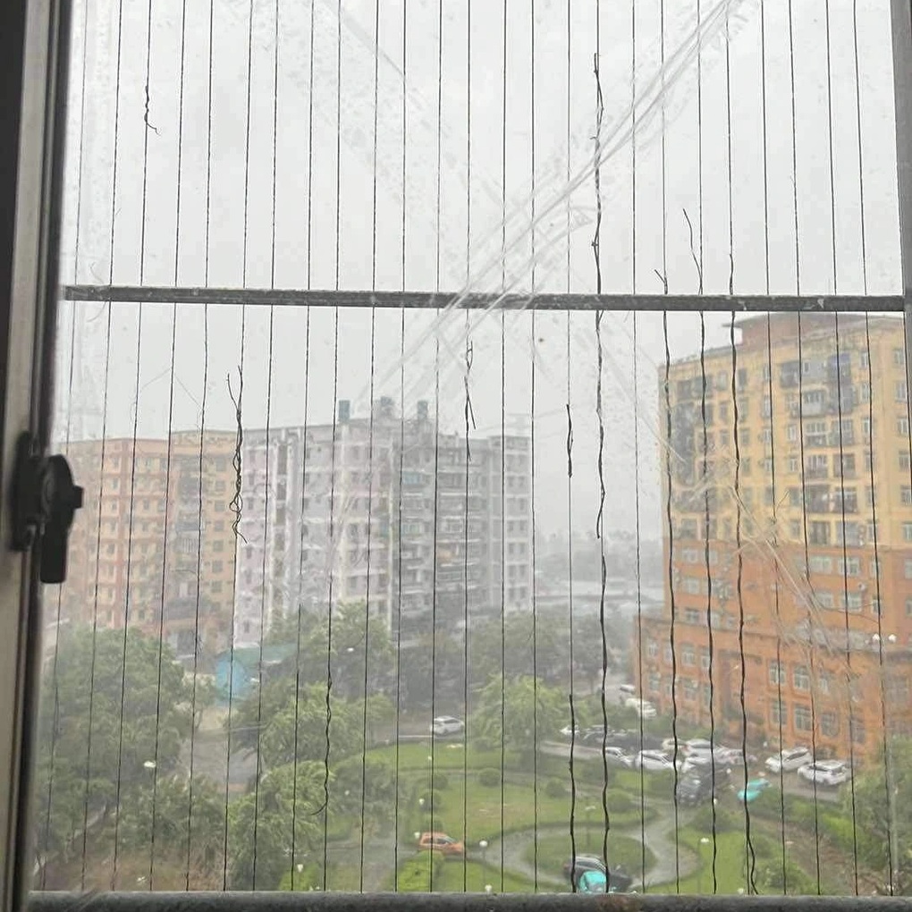 Gió bão dữ dội, dân chung cư Hà Nội dán băng dính lên cửa kính có an toàn? - 2 Gió bão dữ dội, dân chung cư Hà Nội dán băng dính lên cửa kính có an toàn? - 2