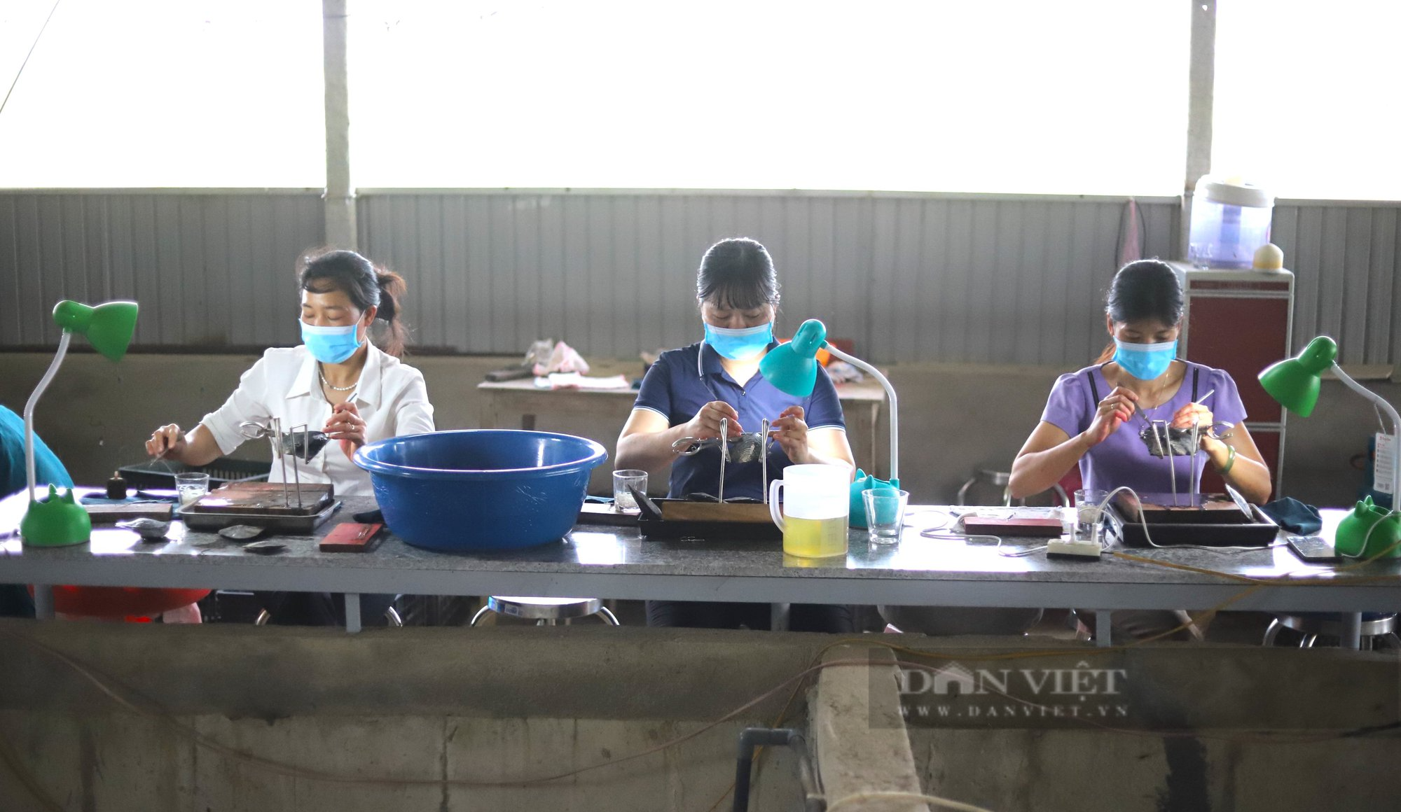 Nuôi trai lấy ngọc, ngay lần đầu đã trúng hàng trăm triệu đồng/năm - 4 Nuôi trai lấy ngọc, ngay lần đầu đã trúng hàng trăm triệu đồng/năm - 4