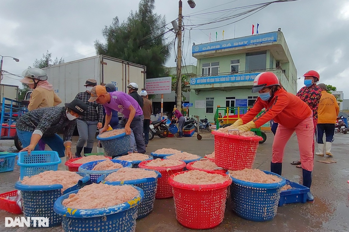Ngư dân bỏ túi tiền triệu mỗi ngày nhờ trúng lộc biển đầu năm - 2 Ngư dân bỏ túi tiền triệu mỗi ngày nhờ trúng lộc biển đầu năm - 2