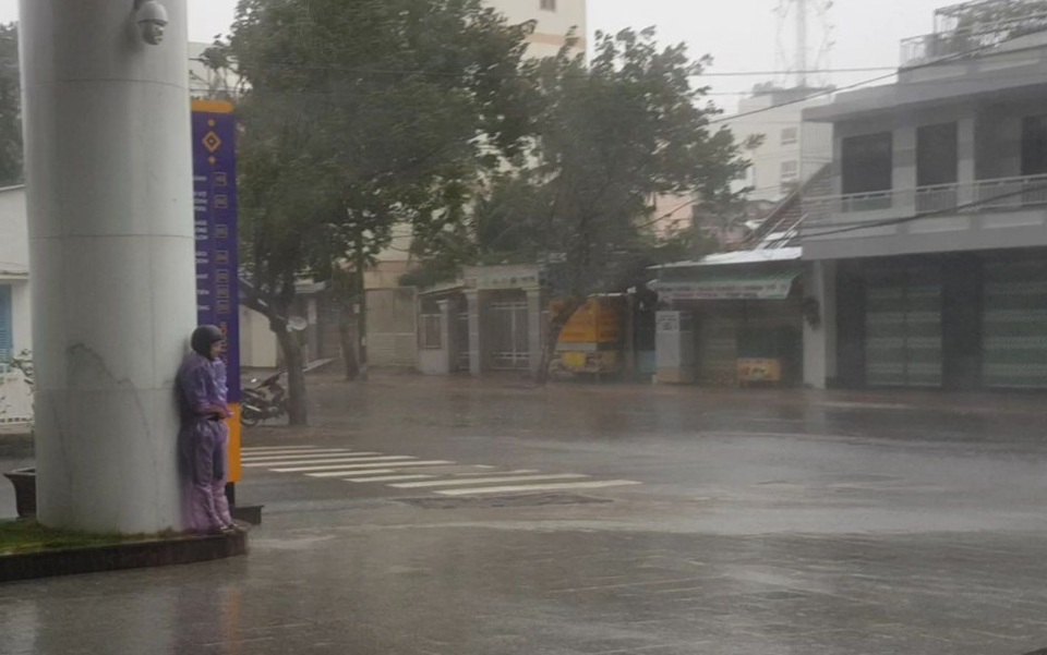 Hình ảnh bão số 12 thổi xiêu vẹo người đi đường, quật đổ cây xanh - 1 Hình ảnh bão số 12 thổi xiêu vẹo người đi đường, quật đổ cây xanh - 1