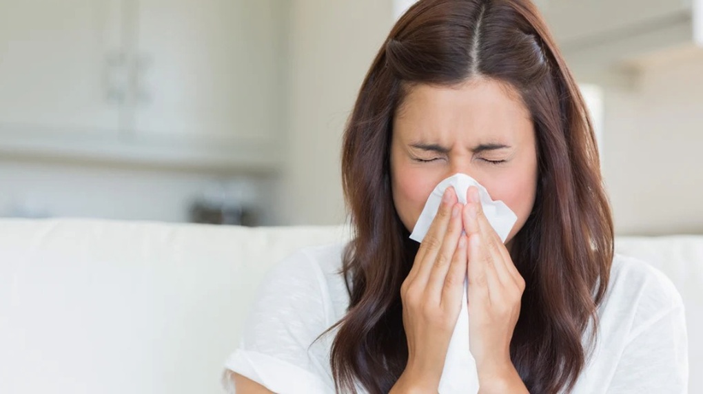 Điều cần biết để không còn lo sáng nào cũng hắt hơi, ngạt mũi - 1 Điều cần biết để không còn lo sáng nào cũng hắt hơi, ngạt mũi - 1