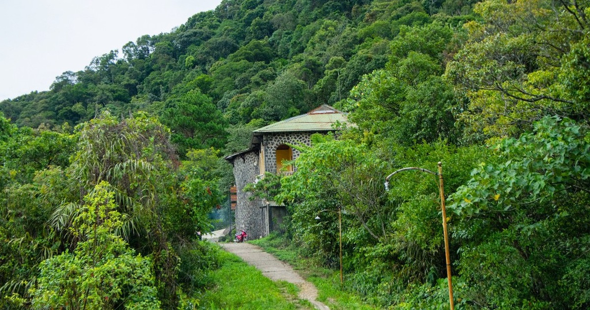 Pháp lý dự án queen valley: An tâm đầu tư Second Home https://vflinvest.com 3 Không gian nghỉ dưỡng hòa mình vào thiên nhiên