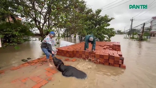 Người dân phường Phú Yên, Đắk Lắk cố gắng cứu "đầu cơ nghiệp"