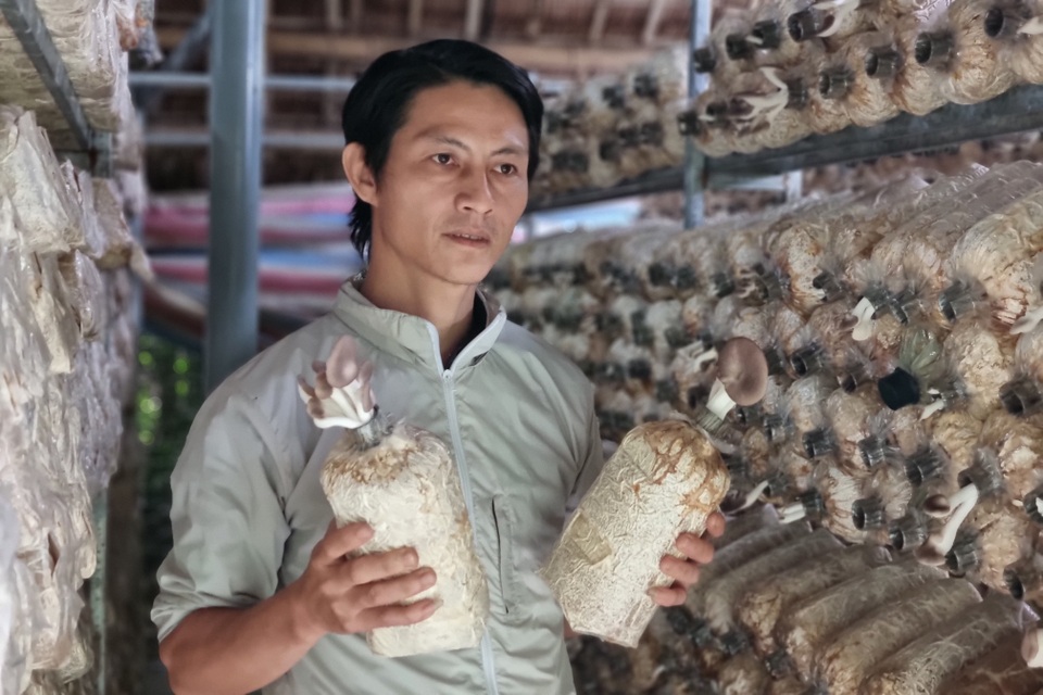 Cựu hướng dẫn viên du lịch chuyển nghề trồng nấm, thu về 400 triệu đồng/năm - 4 Cựu hướng dẫn viên du lịch chuyển nghề trồng nấm, thu về 400 triệu đồng/năm - 4