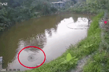 Hai cảnh sát vượt rào thép gai lao xuống ao cứu bé trai 4 tuổi